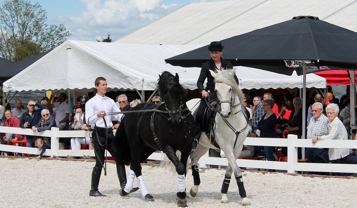 When to Call a Saddle Fitter